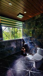 a bathroom with a toilet and a glass wall at Coorg Bliss Estate Stay in Madikeri