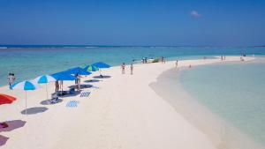 Gallery image of Salt Villa Ukulhas in Ukulhas