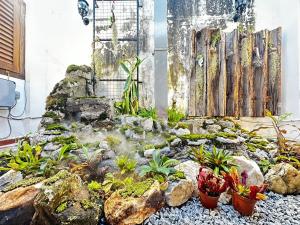 a garden with a waterfall and rocks and plants at 19th Century Boutique Hotel in Melaka