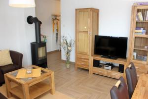 een woonkamer met een open haard en een televisie bij Käptn Brass Villa 5 App 3 Strandrose in Dierhagen