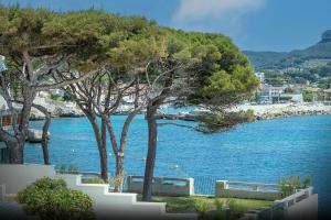 a view of a body of water with trees at L'ODYSSÉE BLEUE VUE MER in Cassis +13 photos