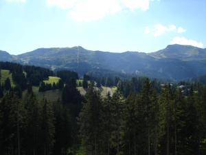 Příroda nedaleko apartmánu