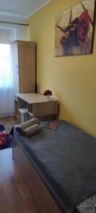 a bedroom with a bed and a table in a room at HOSTEL Róża in Suwałki