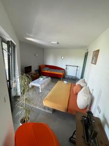 Ubytování U Vinice في ميلنيك: غرفة معيشة مع سرير وأريكة