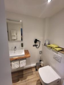 La salle de bains est pourvue de toilettes blanches et d'un lavabo. dans l'établissement Hotel Waldrausch, à Hahnenklee