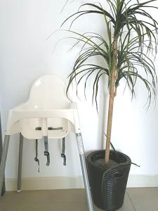 a table and a chair next to a potted plant at Afiniti Residensi Legoland Medini in Nusajaya