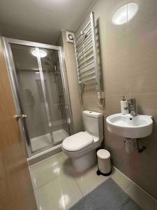 a bathroom with a toilet and a shower and a sink at Beautiful private detached 1 bed with private outdoor space in Stone Grove