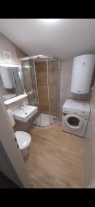 een badkamer met een toilet, een wastafel en een wasmachine bij Apartman Del Mar in Poreč