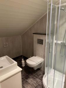 uma casa de banho com um chuveiro, um WC e um lavatório. em Hytte på fjellet em Håra