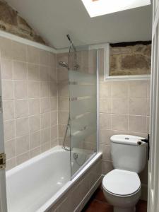 a bathroom with a toilet and a glass shower at Casa familia La Casa de Quintanilla 2 in Aguilar de Campóo