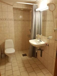 een badkamer met een toilet en een wastafel bij Bergland apartment 15 - close to the center of Kragerø in Kragerø