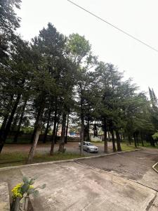 Fotografie z fotogalerie ubytování Park Hotel Imeri kutaisi v destinaci Kutaisi