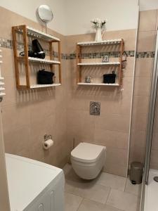 a small bathroom with a toilet and a shower at Ostsee-Ferienwohnung-Lipsia in Ostseebad Nienhagen +19 photos