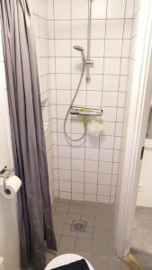 een badkamer met een douche en een toilet. bij Hus-lejlighed i ejendommens baghus in Odense