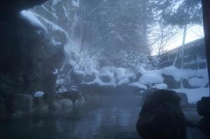 Φυσικό τοπίο κοντά σε αυτό το ryokan