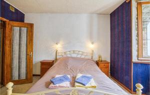 聖謝利多布拉克的住宿－2 Bedroom Lovely Apartment In Saint-chely-daubrac，一间卧室配有一张带两个枕头的床