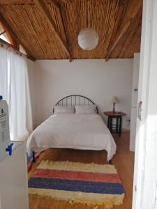 a bedroom with a bed and a rug on the floor at Aintree Lodge - Yoga Den in Langebaan