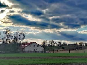 a white barn in a field under a cloudy sky at Nasza Wioska in Kroczyce