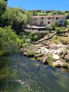 une vue sur une rivière avec un bâtiment en arrière-plan dans l'établissement Auberge U Mulinu, à Casalabriva