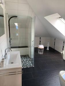 een badkamer met een douche, een wastafel en een toilet bij Fewo-Hürtgenliebe in Hürtgenwald