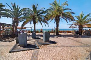 een rij palmbomen op een strand bij Mar azul 3 in Albufeira