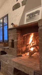 a fireplace with a dog sitting on top of it at Auberge U Mulinu in Casalabriva
