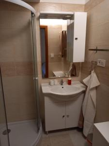 a bathroom with a sink and a shower at Karpatia Vendeghaz 1201 Budapest in Budapest