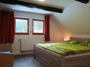 sypialnia z łóżkiem i 2 oknami w obiekcie Die Oberlochmühle PENSION w mieście Deutschneudorf