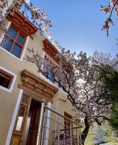 a flowering tree in front of a building at Gaywoo Guest House in Leh