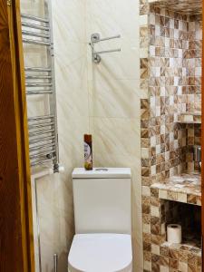 a bathroom with a toilet and a shower at Guest House Kartuli Suli in Tʼelavi
