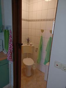 a small bathroom with a toilet and green towels at Ferienwohnung Viola in Meißen