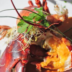a close up of a plate of food with lobster at Casino Hotel in Koksijde