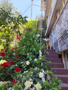Zahrada ubytování Vatsalyam Home Stay