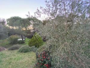 Ogród w obiekcie Très grande Villa pour 1 famille ou plusieurs...