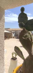 - un cactus dans un pot à côté d'une terrasse dans l'établissement Borgo delle Pietre, à Porto Empedocle