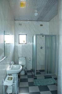 uma casa de banho com um lavatório, um WC e um chuveiro em Neat one bedroom in Morningside guesthouse - 2091 em Bulawayo