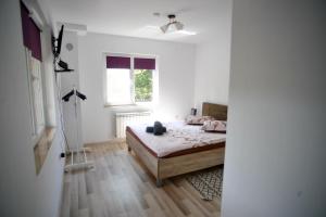 a bedroom with a bed and a window at Vila Roberta Breaza ,BV in Breaza