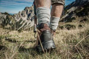 Paesaggio naturale nelle vicinanze dell'affittacamere