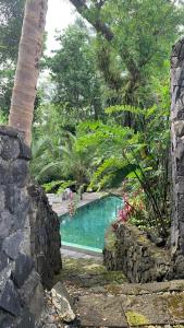 una piscina en un jardín con árboles en Khayangan Resort Yogyakarta, en Balong