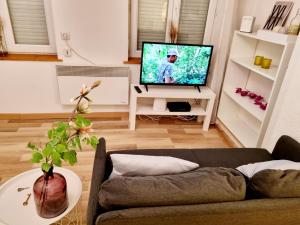 Televízia a/alebo spoločenská miestnosť v ubytovaní Apartement Lille