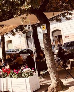 un grupo de personas sentadas en mesas bajo un árbol en Residenza del Corso, en Trani