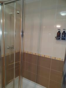 a shower with a glass door in a bathroom at Los Coucheiros in Negreira