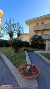 a flower bed in front of a building at Casa al mare Santo Stefano al Mare in Santo Stefano al Mare +6 photos