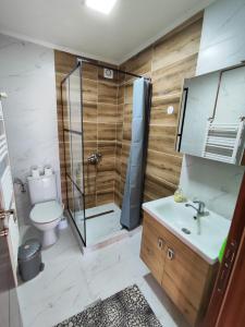 a bathroom with a shower and a toilet and a sink at Guliban in Kruševo