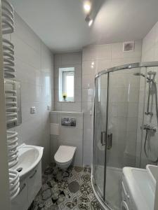 グダニスクにあるAla Apartmentのバスルーム(シャワー、トイレ、シンク付)