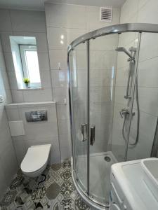 グダニスクにあるAla Apartmentのバスルーム(シャワー、トイレ、シンク付)