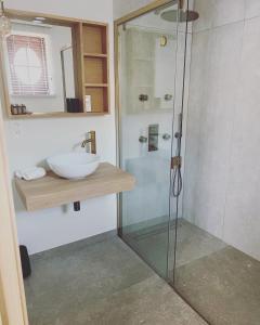 La salle de bains est pourvue d'une douche en verre et d'un lavabo. dans l'établissement Mina en Family Bed and Breakfast, à Meise