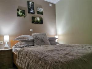 Complex Turistic Cetatea Drencova客房内的一张或多张床位