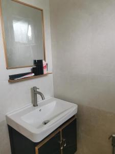 a bathroom with a white sink and a mirror at Lanai Meranti in Ipoh