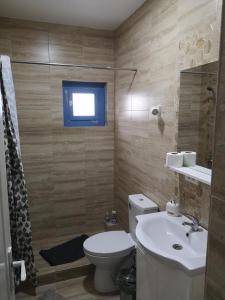 uma casa de banho com um WC, um lavatório e uma janela em Casa David em Dunavăţu de Sus